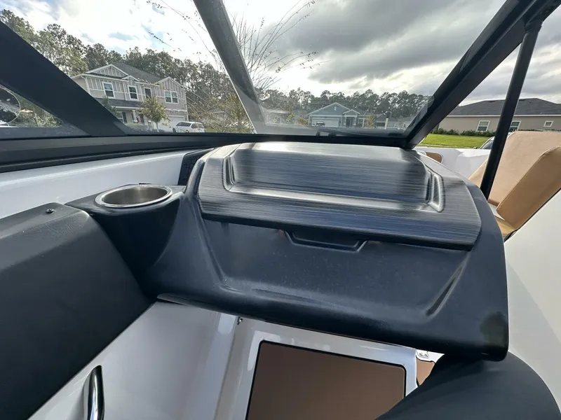 Slide: The Image of Scarab 215 2021 - 5838048