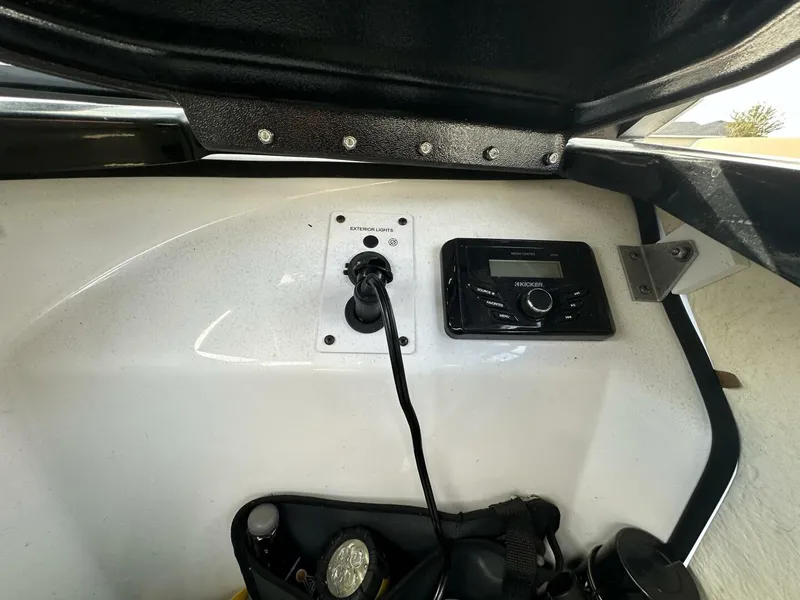 Slide: The Image of Scarab 215 2021 - 5838049