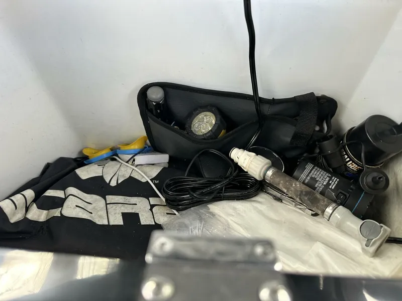 Slide: The Image of Scarab 215 2021 - 5838052