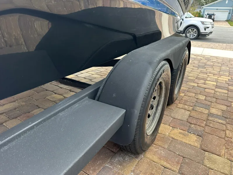 Slide: The Image of Scarab 215 2021 - 5837981