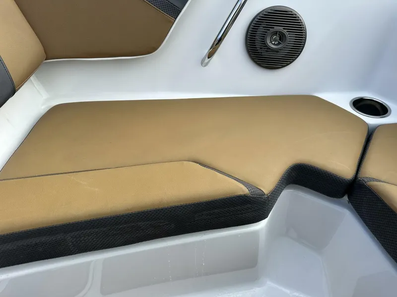 Slide: The Image of Scarab 215 2021 - 5838058