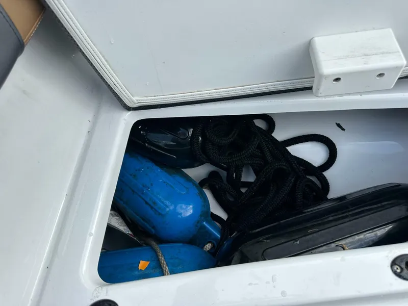 Slide: The Image of Scarab 215 2021 - 5838059