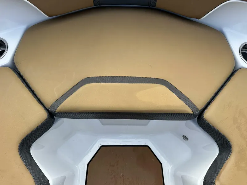 Slide: The Image of Scarab 215 2021 - 5838060