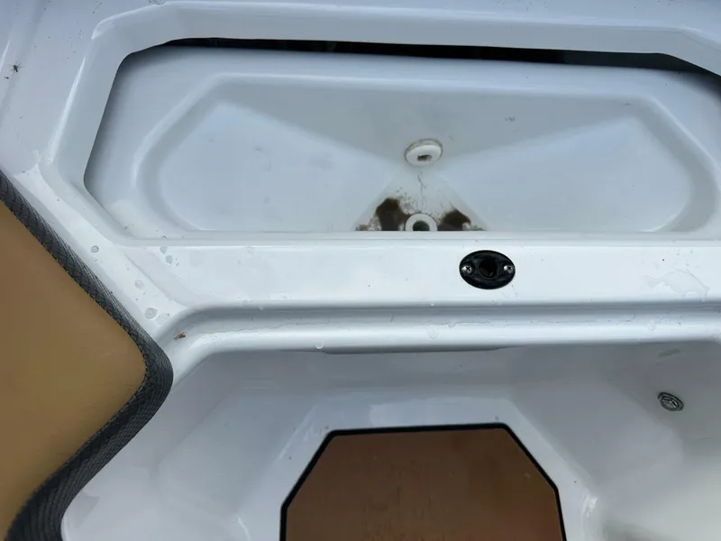 Slide: The Image of Scarab 215 2021 - 5838061