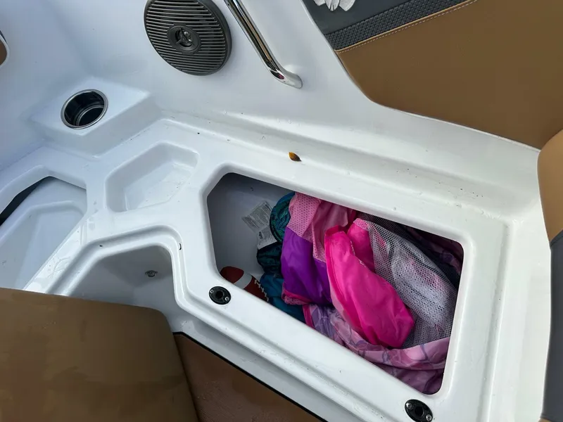 Slide: The Image of Scarab 215 2021 - 5838062