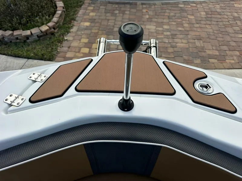 Slide: The Image of Scarab 215 2021 - 5838063