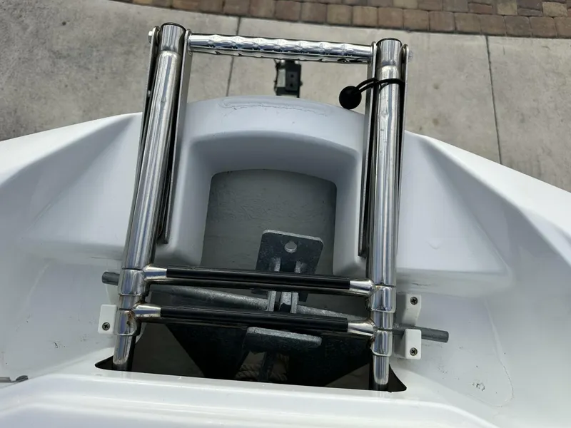 Slide: The Image of Scarab 215 2021 - 5838064