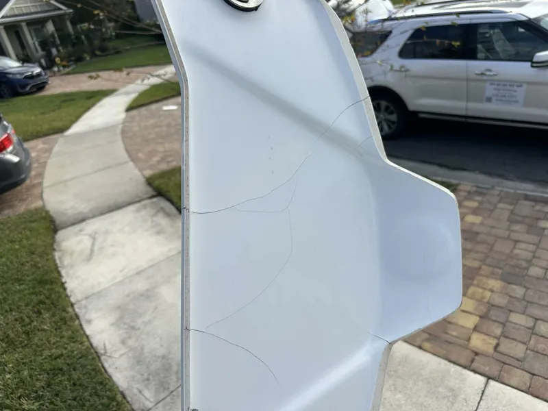 Slide: The Image of Scarab 215 2021 - 5838067