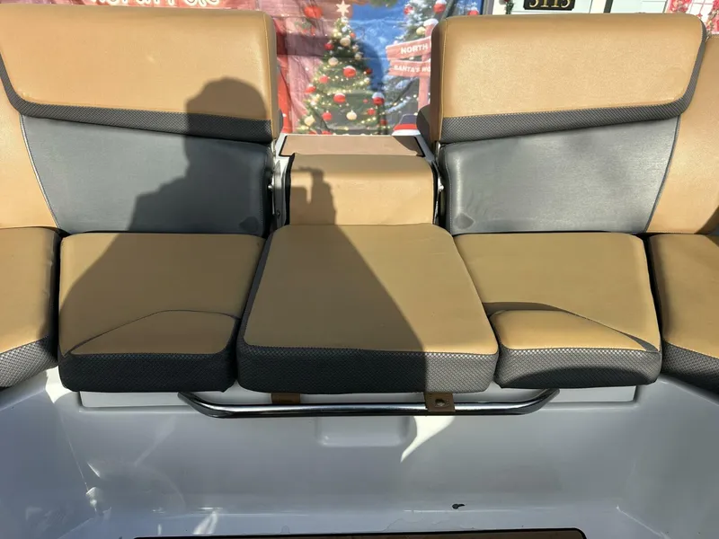 Slide: The Image of Scarab 215 2021 - 5838071