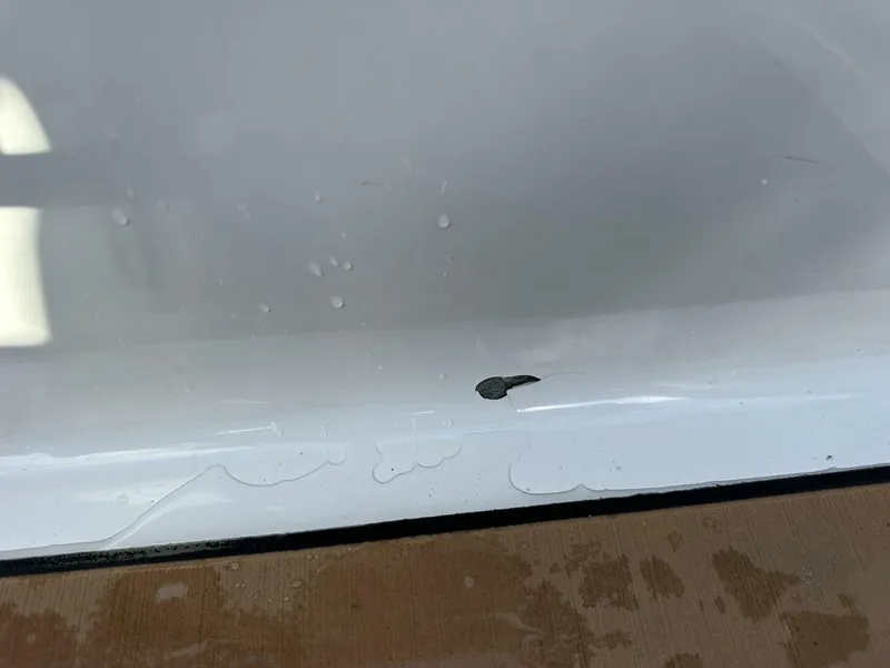 Slide: The Image of Scarab 215 2021 - 5838072