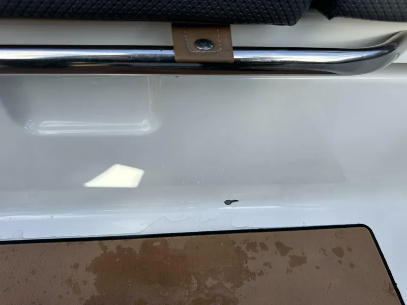 Slide: The Image of Scarab 215 2021 - 5838073