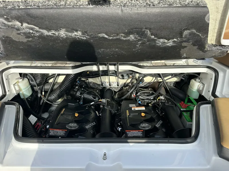 Slide: The Image of Scarab 215 2021 - 5838074