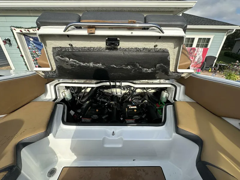 Slide: The Image of Scarab 215 2021 - 5838075