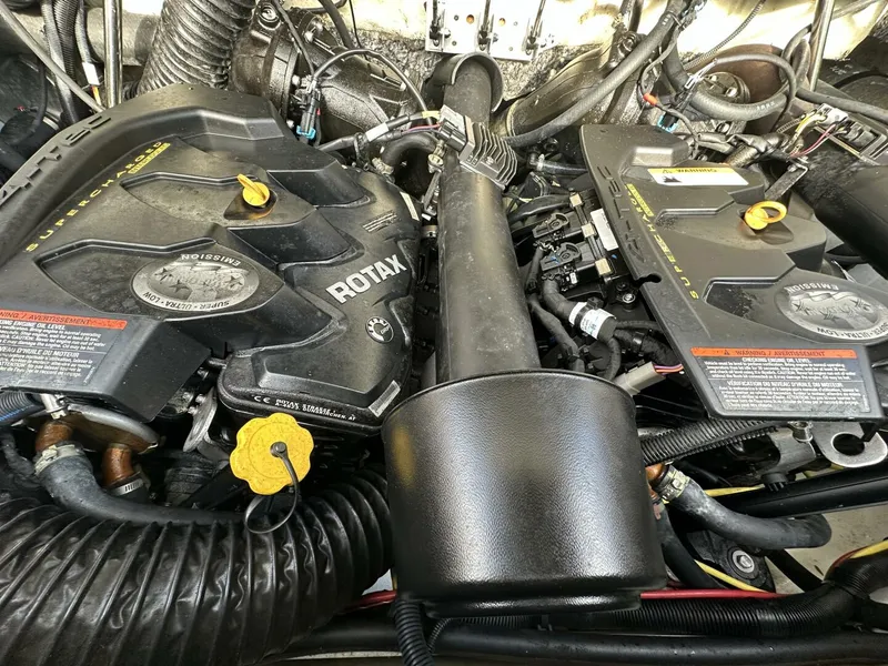 Slide: The Image of Scarab 215 2021 - 5838077