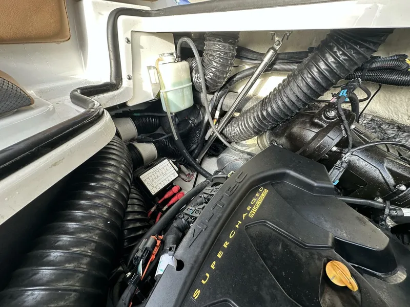 Slide: The Image of Scarab 215 2021 - 5838078