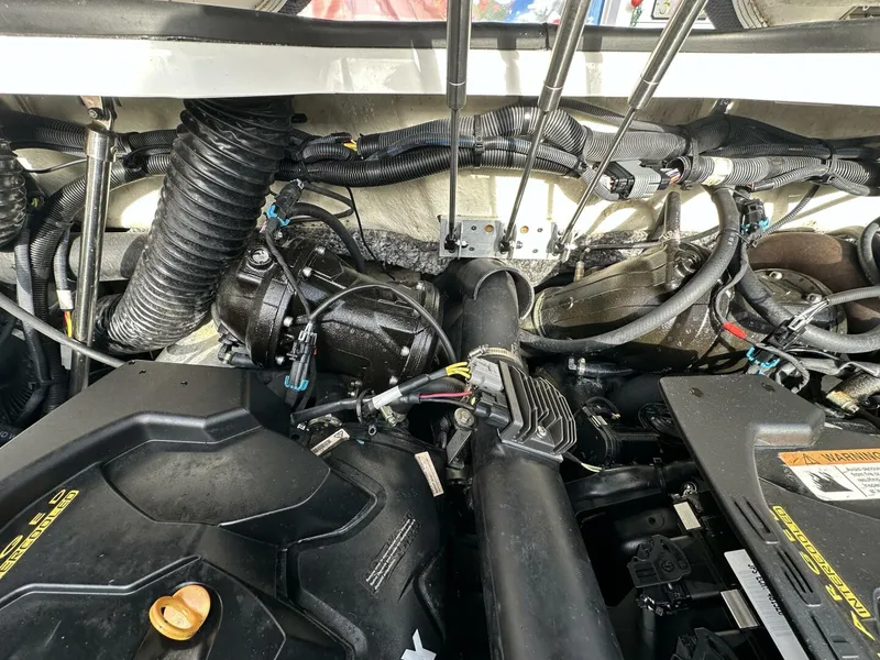 Slide: The Image of Scarab 215 2021 - 5838079