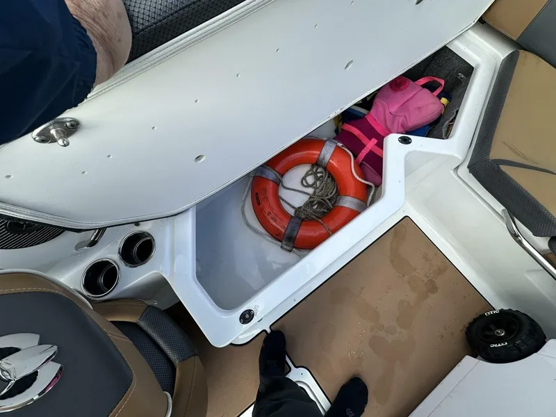 Slide: The Image of Scarab 215 2021 - 7516524