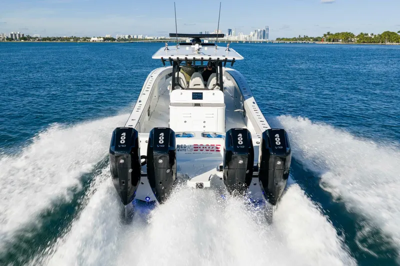 The Image of Freeman 43 2023 - 5819474