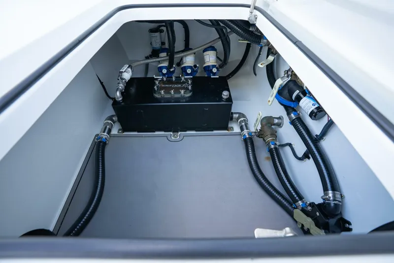 Slide: The Image of Freeman 43 2023 - 5819488