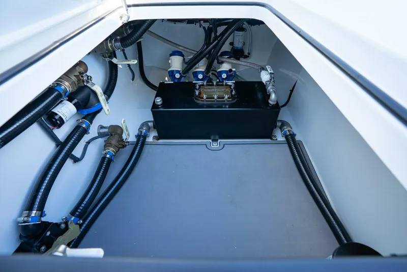 Slide: The Image of Freeman 43 2023 - 5819489