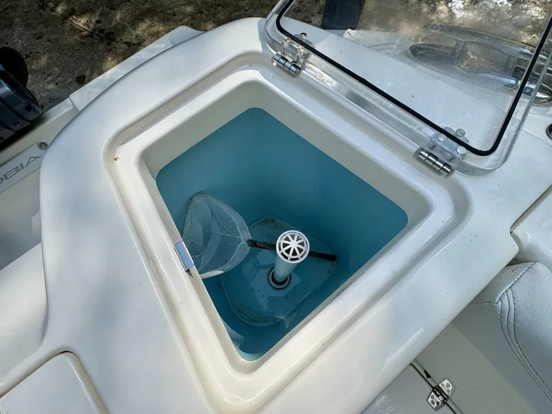 Slide: The Image of Cobia 280 DC 2022 - 5822111