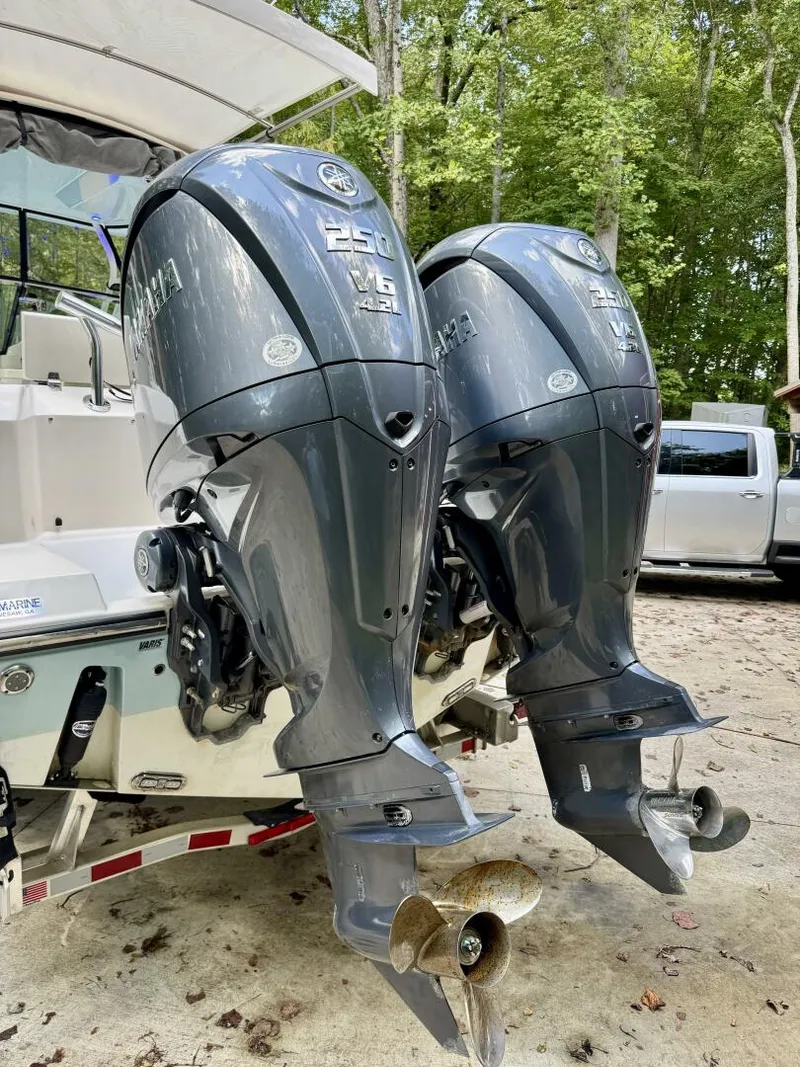 Slide: The Image of Cobia 280 DC 2022 - 5822126