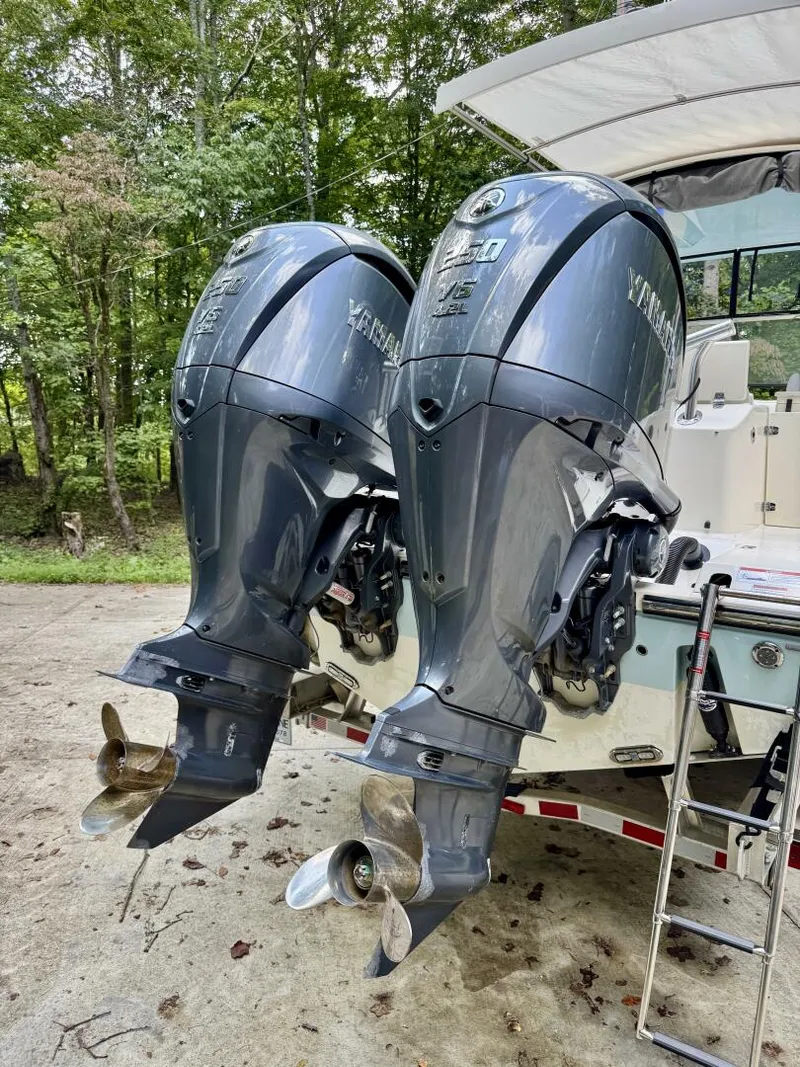 Slide: The Image of Cobia 280 DC 2022 - 5822128