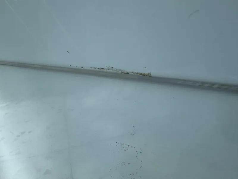 Slide: The Image of Cobia 280 DC 2022 - 5822133