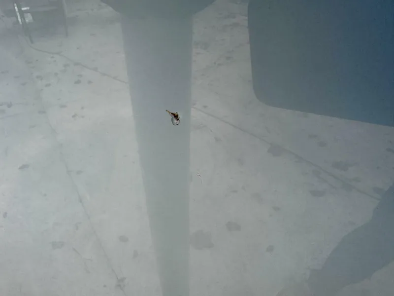 Slide: The Image of Cobia 280 DC 2022 - 5822138