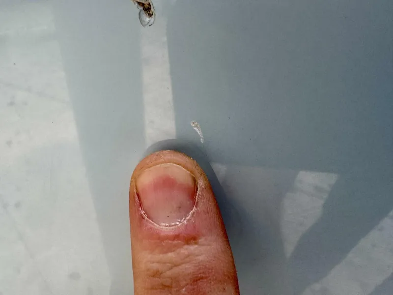 Slide: The Image of Cobia 280 DC 2022 - 5822140