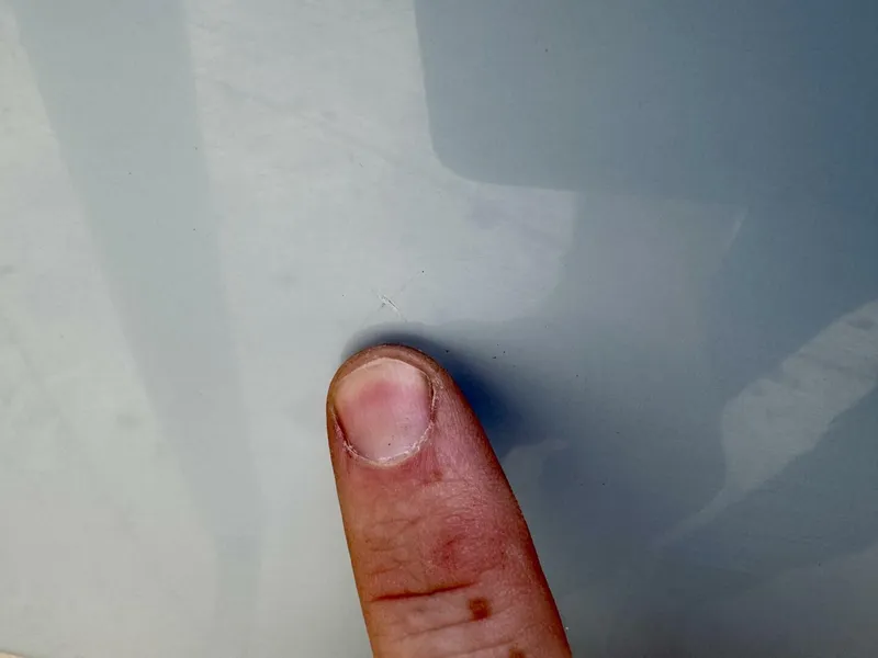 Slide: The Image of Cobia 280 DC 2022 - 5822142