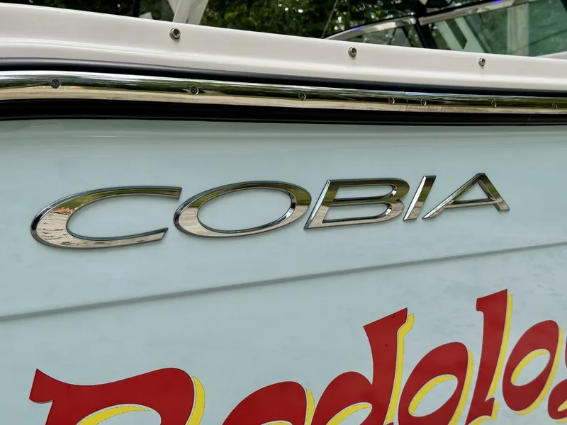 Slide: The Image of Cobia 280 DC 2022 - 5822150