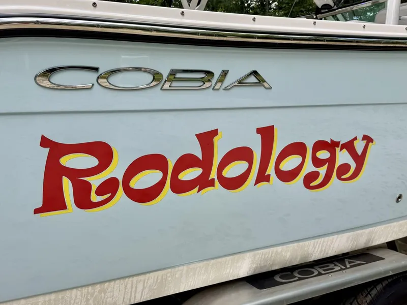 Slide: The Image of Cobia 280 DC 2022 - 5822151