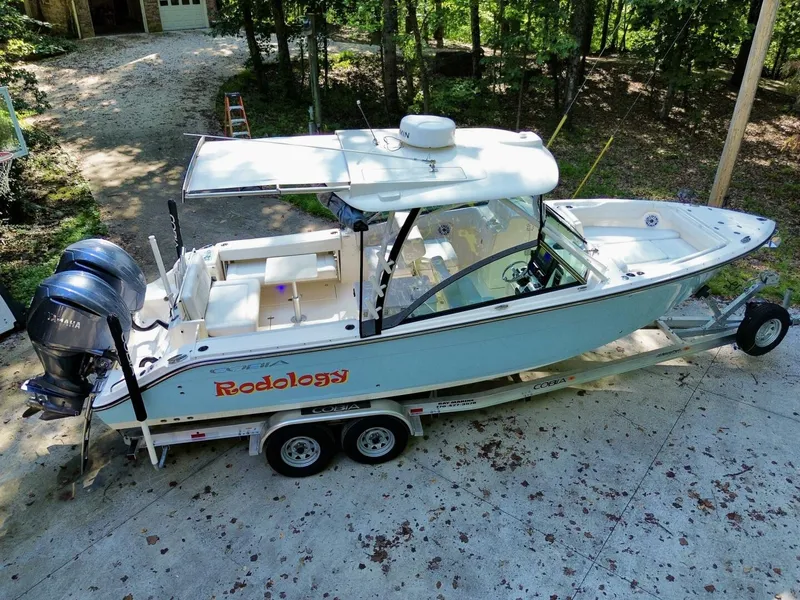 Slide: The Image of Cobia 280 DC 2022 - 5822013