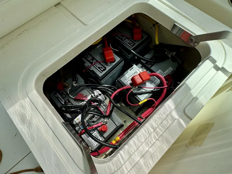 Slide: The Image of Cobia 280 DC 2022 - 5822047