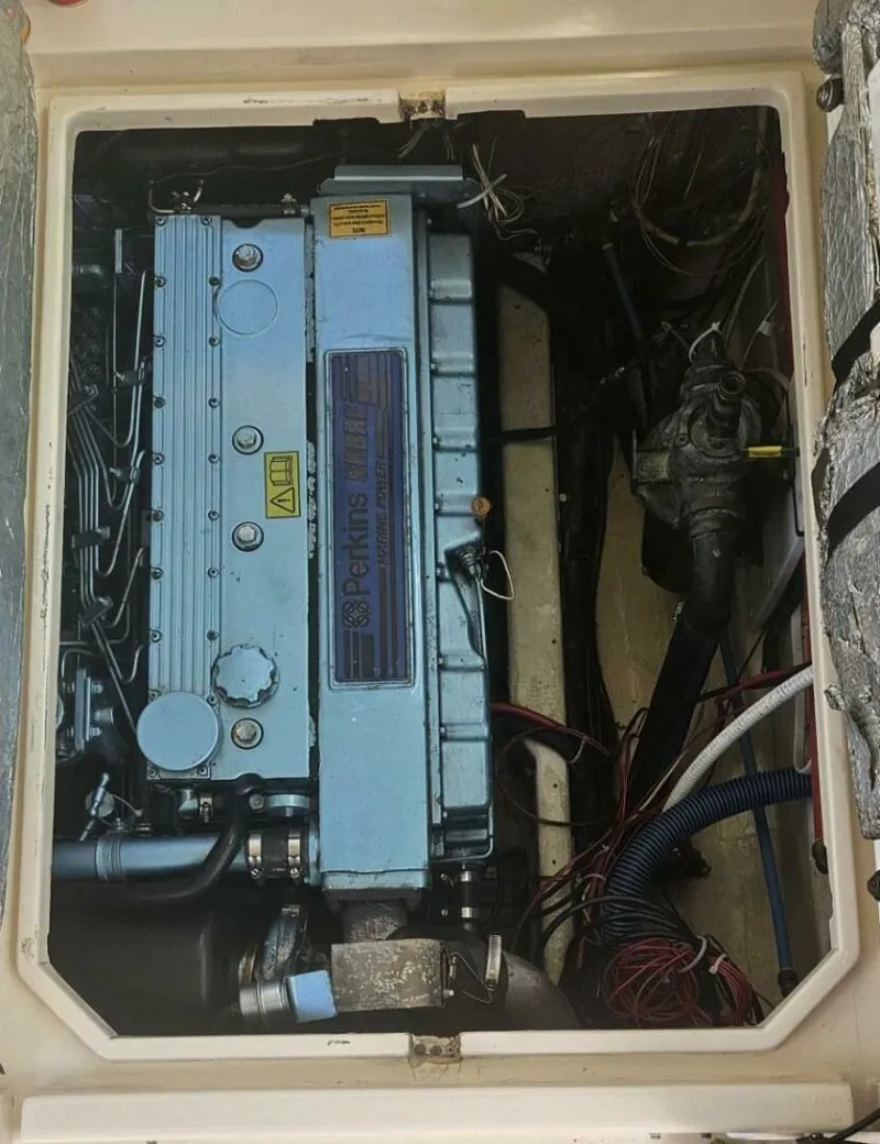 Slide: The Image of Albin Family Cruiser 2004 - 5821985