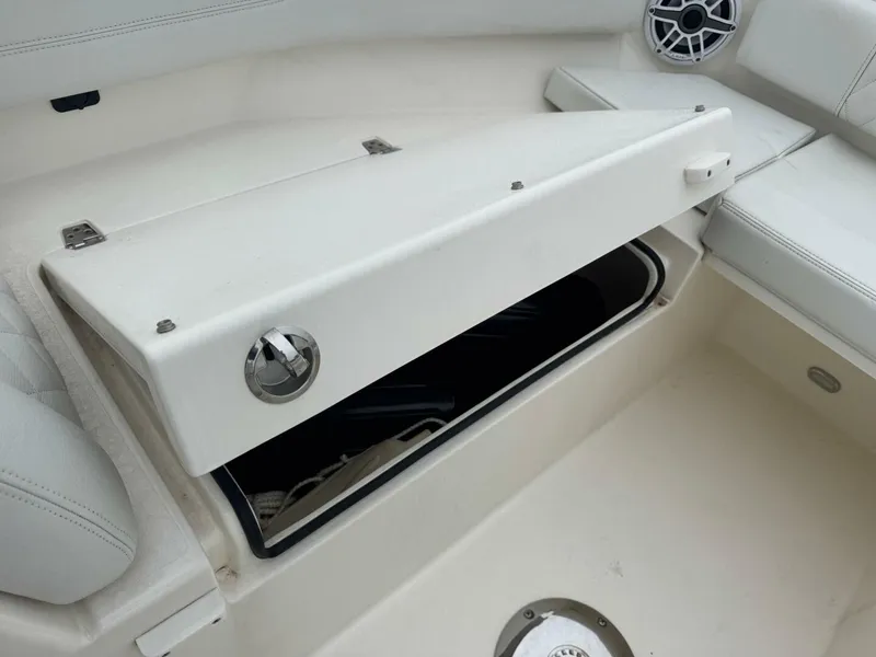 Slide: The Image of Cobia 240 DC 2024 - 5822495