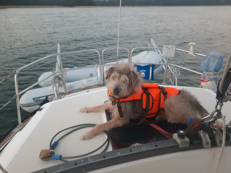 Slide: The Image of S2 36 1986 - 5822541