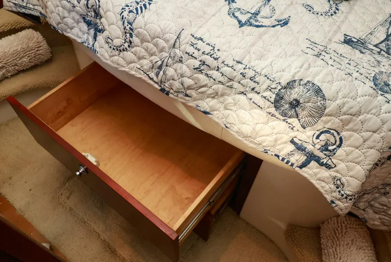 Slide: The Image of Chris-Craft 43 2005 - 5823215