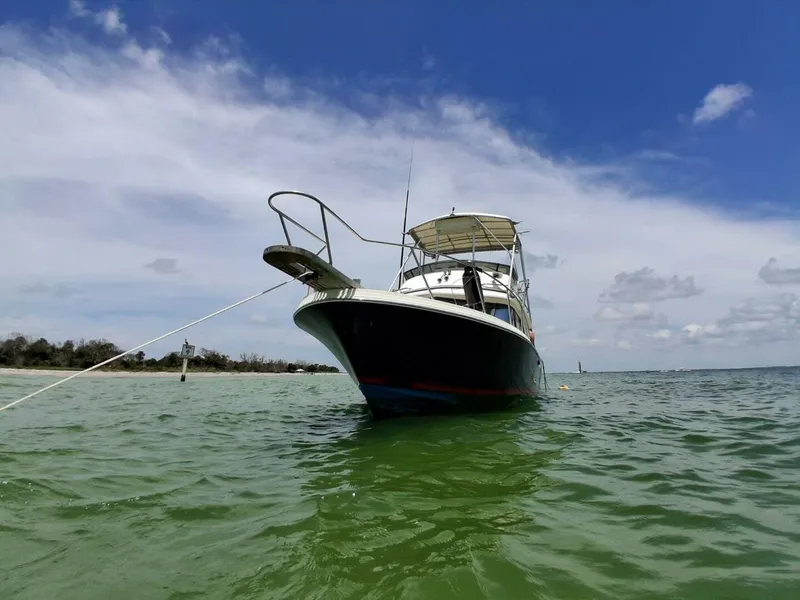 Slide: The Image of Blackfin Flybridge 29 1988 - 5823853