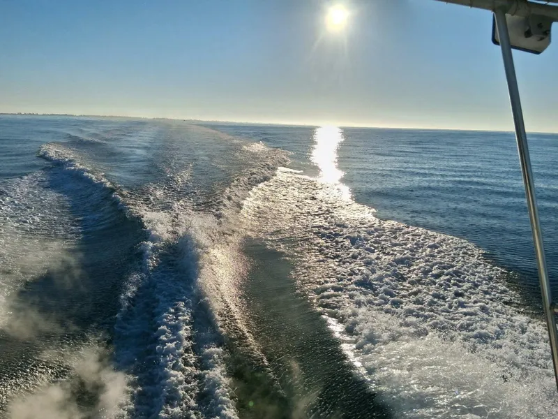 Slide: The Image of Blackfin Flybridge 29 1988 - 5862730