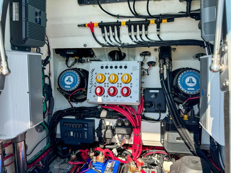 Slide: The Image of Yellowfin 26 2019 - 5824956