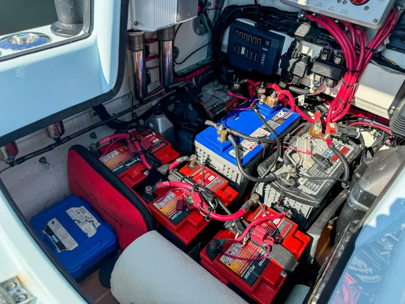 Slide: The Image of Yellowfin 26 2019 - 5824957