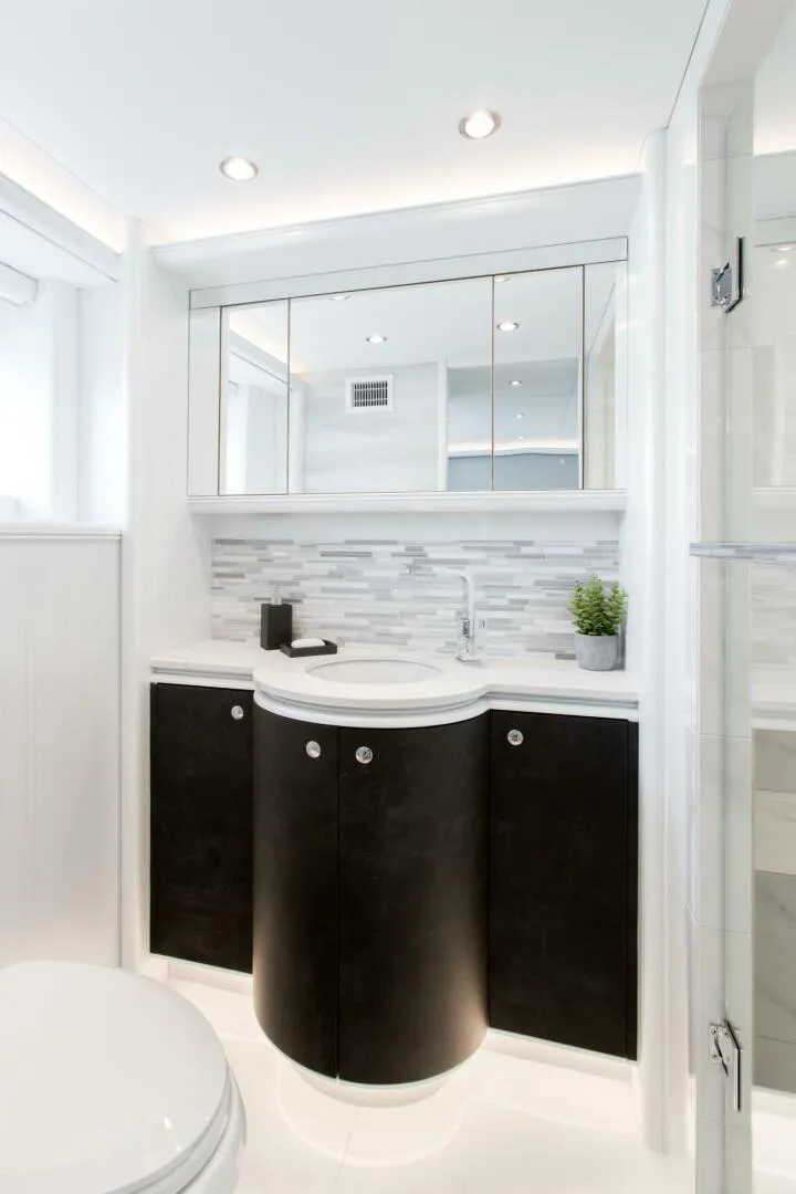 Slide: The Image of Crescent 117 2020 - 5825862