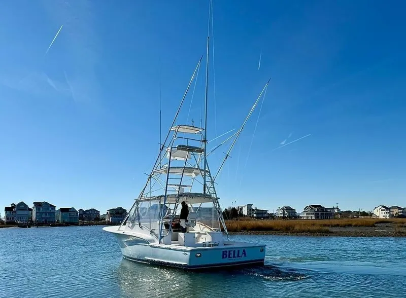 Slide: The Image of 0005481579 - 5826229