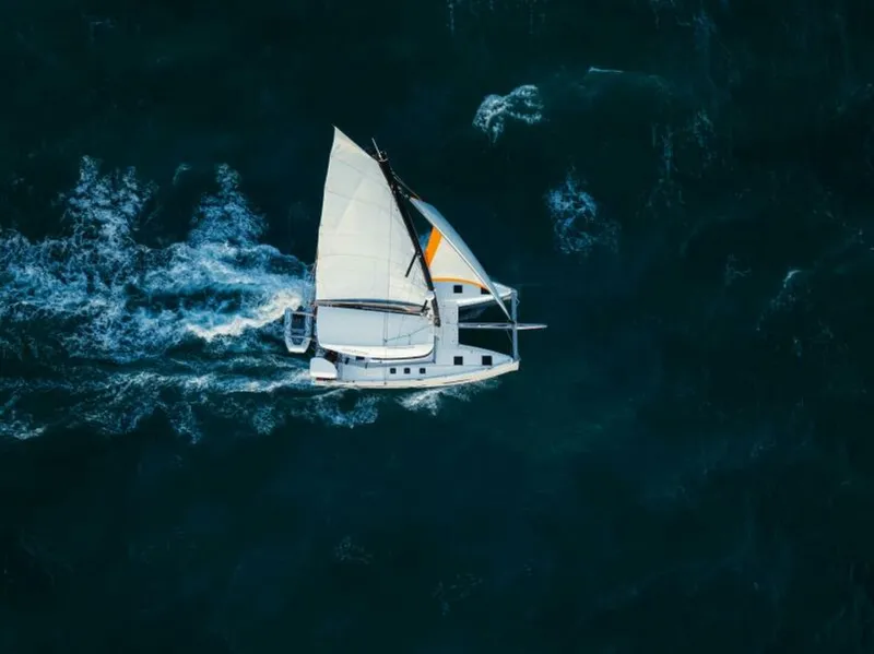 Slide: The Image of Excess 13 2026 - 5828029