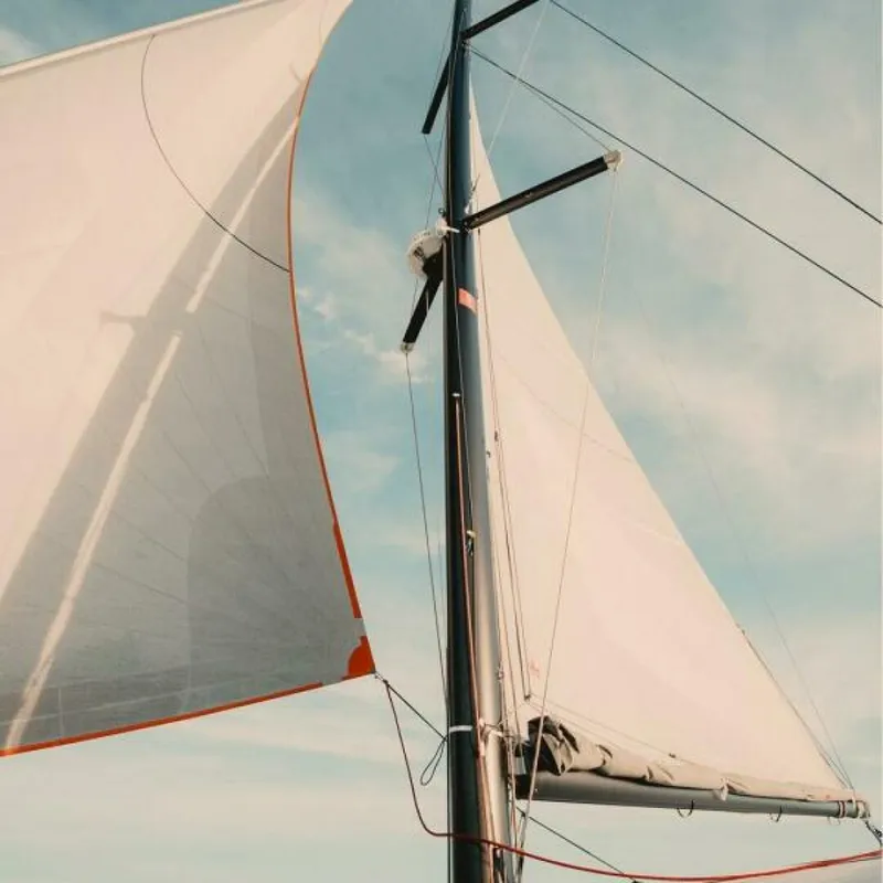 Slide: The Image of Excess 13 2026 - 5828035