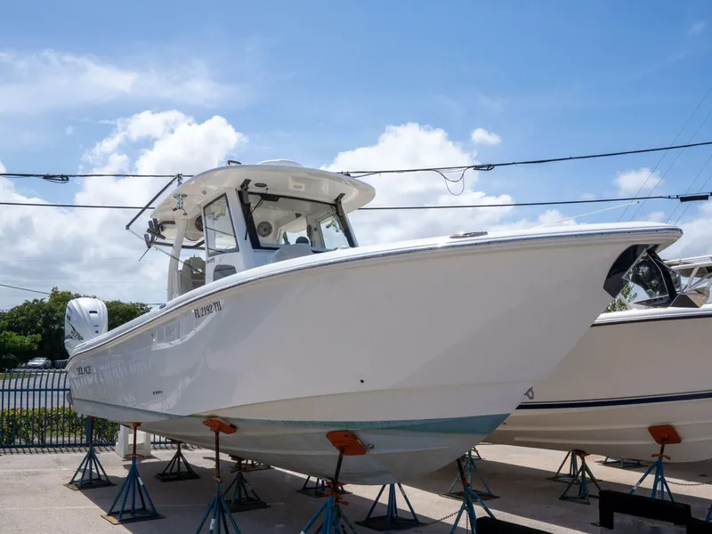 Slide: The Image of 2020 Solace 34 - 5828397