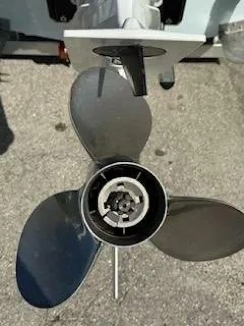 Slide: The Image of East Cape EVO 2022 - 5832063