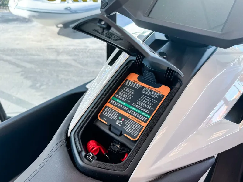 Slide: The Image of Other Orca P2 2025 - 5830964